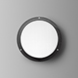 Surface wall and ceiling - impact resistant with flat glass
