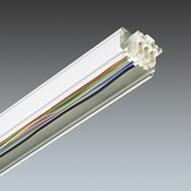 Primata 2 Trunking